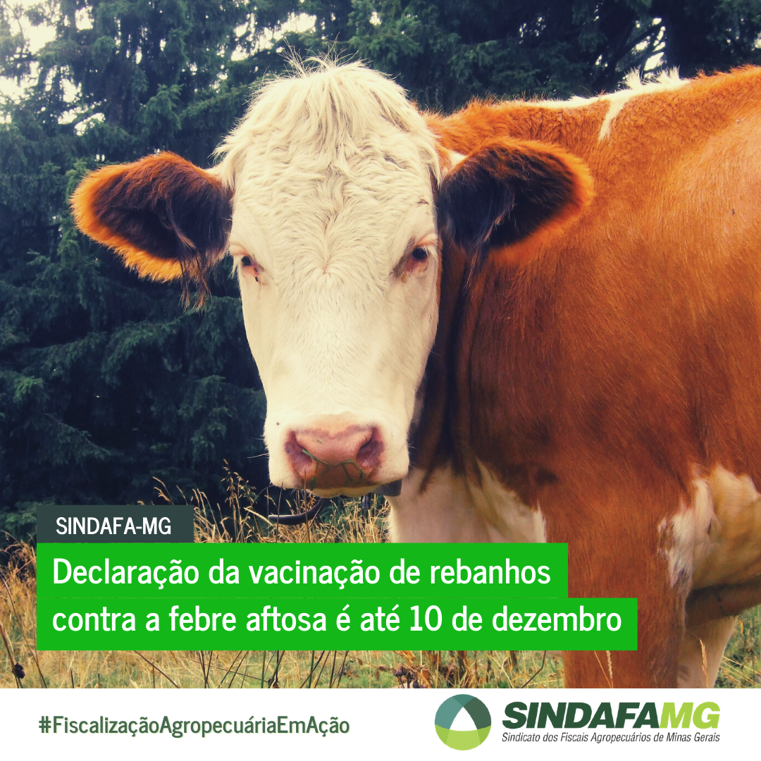 Declaração da vacinação de rebanhos contra a febre aftosa