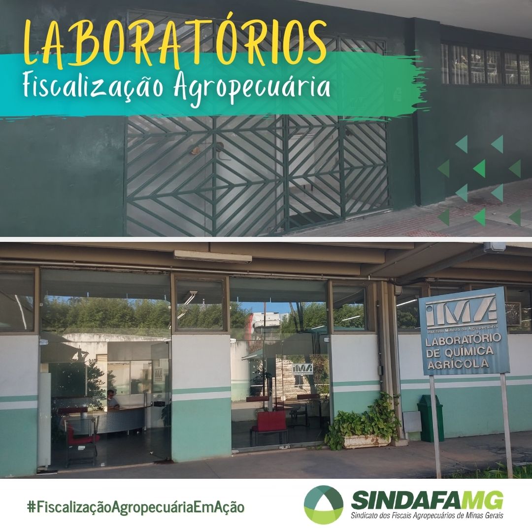Minas Gerais possui laboratórios próprios para apoio à fiscalização agropecuária