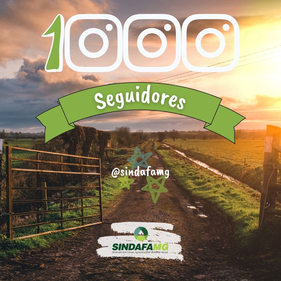 Sindafa-MG conquista 1.000 seguidores no Instagram