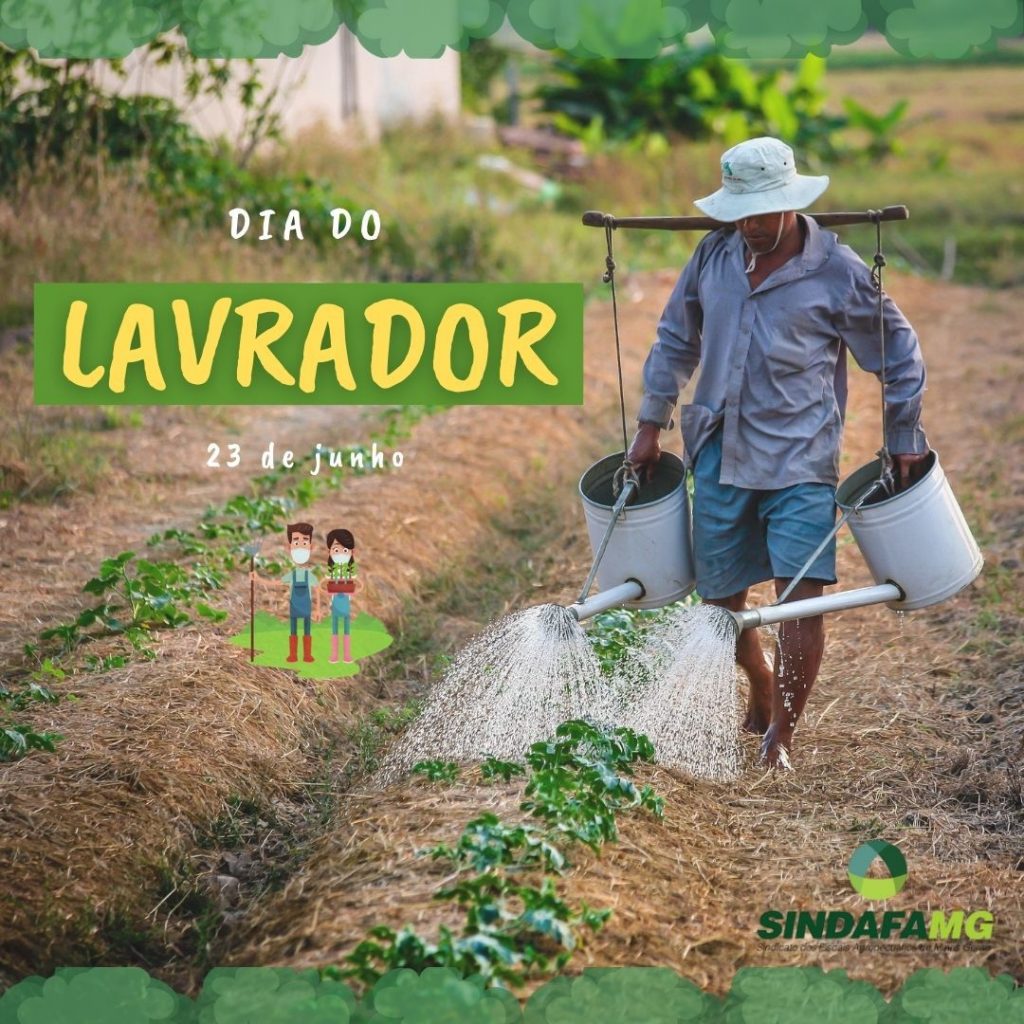 Dia do Lavrador: profissional que prepara a terra para gerar alimentos