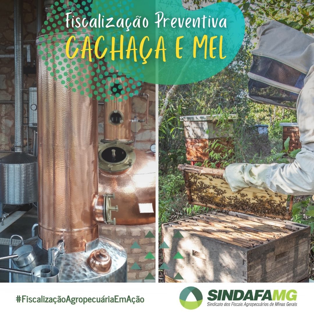 Educação sanitária promove fiscalização preventiva da cachaça e do mel em Minas Gerais