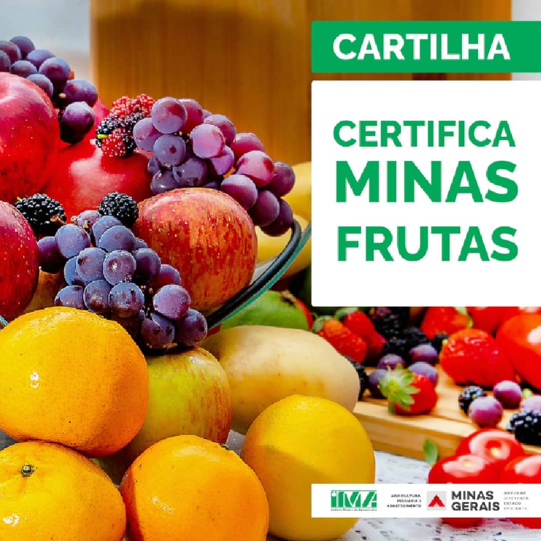 IMA lança cartilha para certificação de frutas