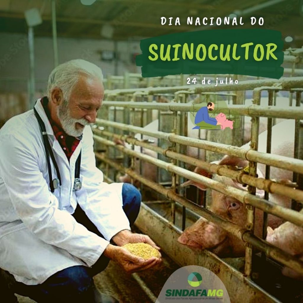 Dia Nacional do Suinocultor: profissional se destaca no agronegócio brasileiro