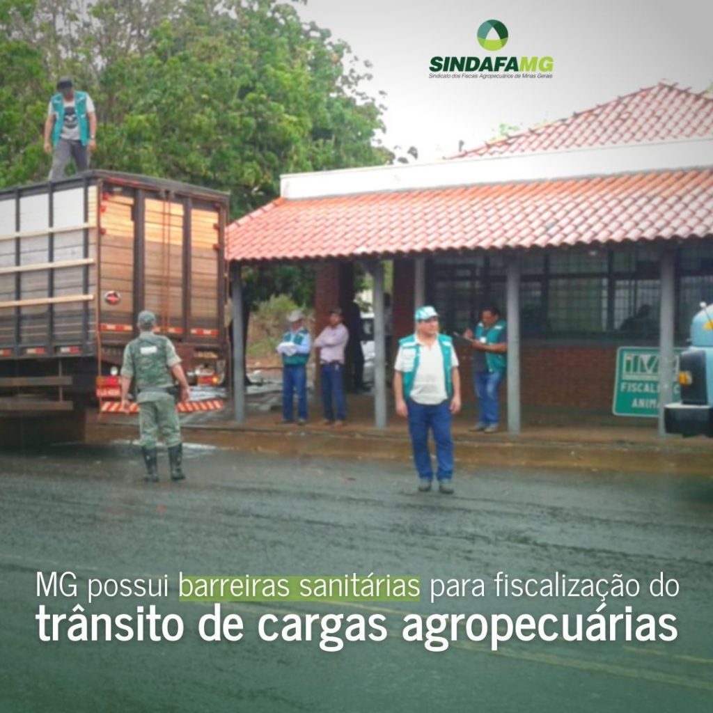 Barreiras sanitárias do IMA fiscalizam a qualidade dos produtos agropecuários que são comercializados