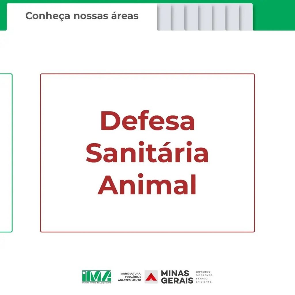Defesa Animal do IMA promove qualidade sanitária dos rebanhos de MG