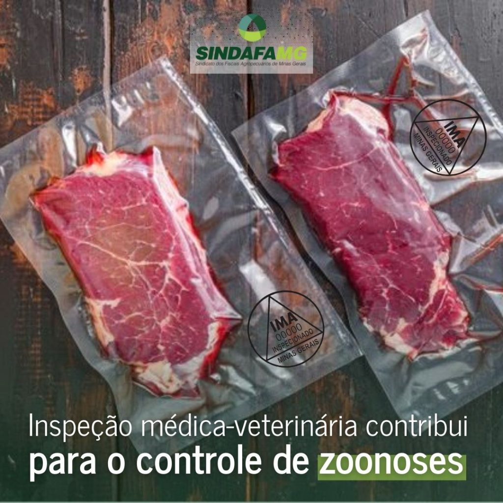 Inspeção médica-veterinária contribui para o controle de zoonoses