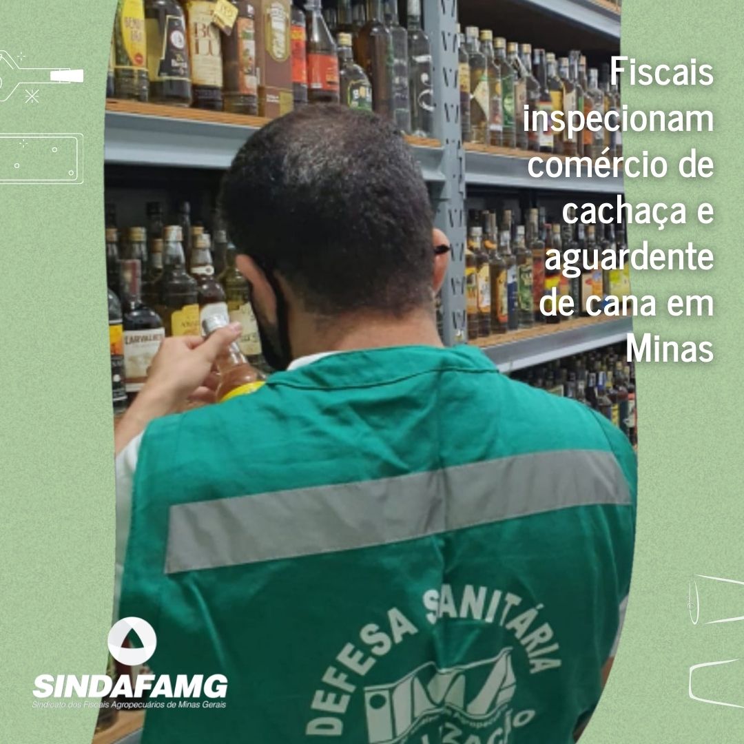 Fiscais do IMA atuam sobre o comércio de cachaças clandestinas