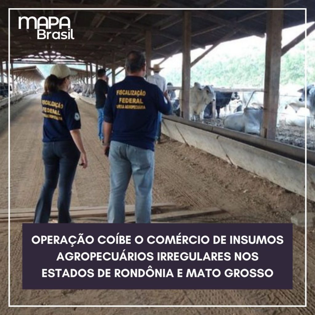 Fiscais agropecuários de Minas Gerais participam de operação do Ministério da Agricultura em Mato Grosso e Rondônia