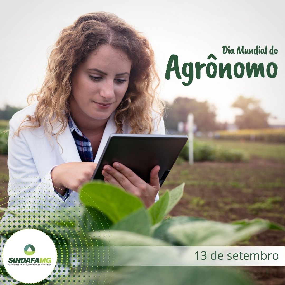 Dia Mundial do Agrônomo: profissional é responsável pela sanidade vegetal