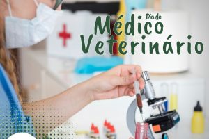 Dia do Médico-Veterinário: profissional integrante da Saúde Única e pública