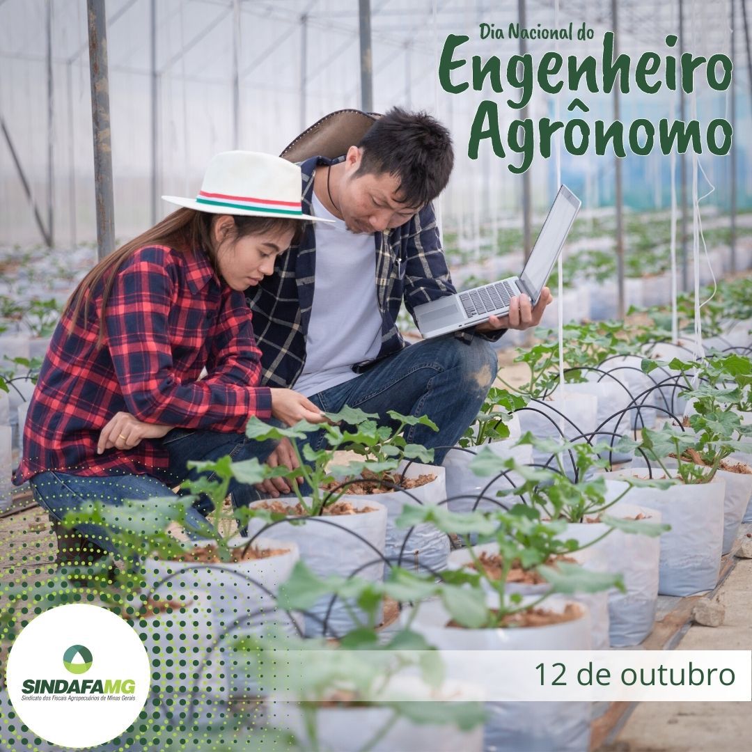 Dia do Engenheiro Agrônomo: profissional atua para garantir a sanidade vegetal e segurança alimentar