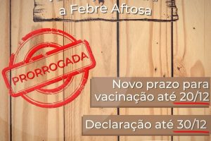 Vacinação contra a febre aftosa é prorrogada para até 20 de dezembro em Minas Gerais
