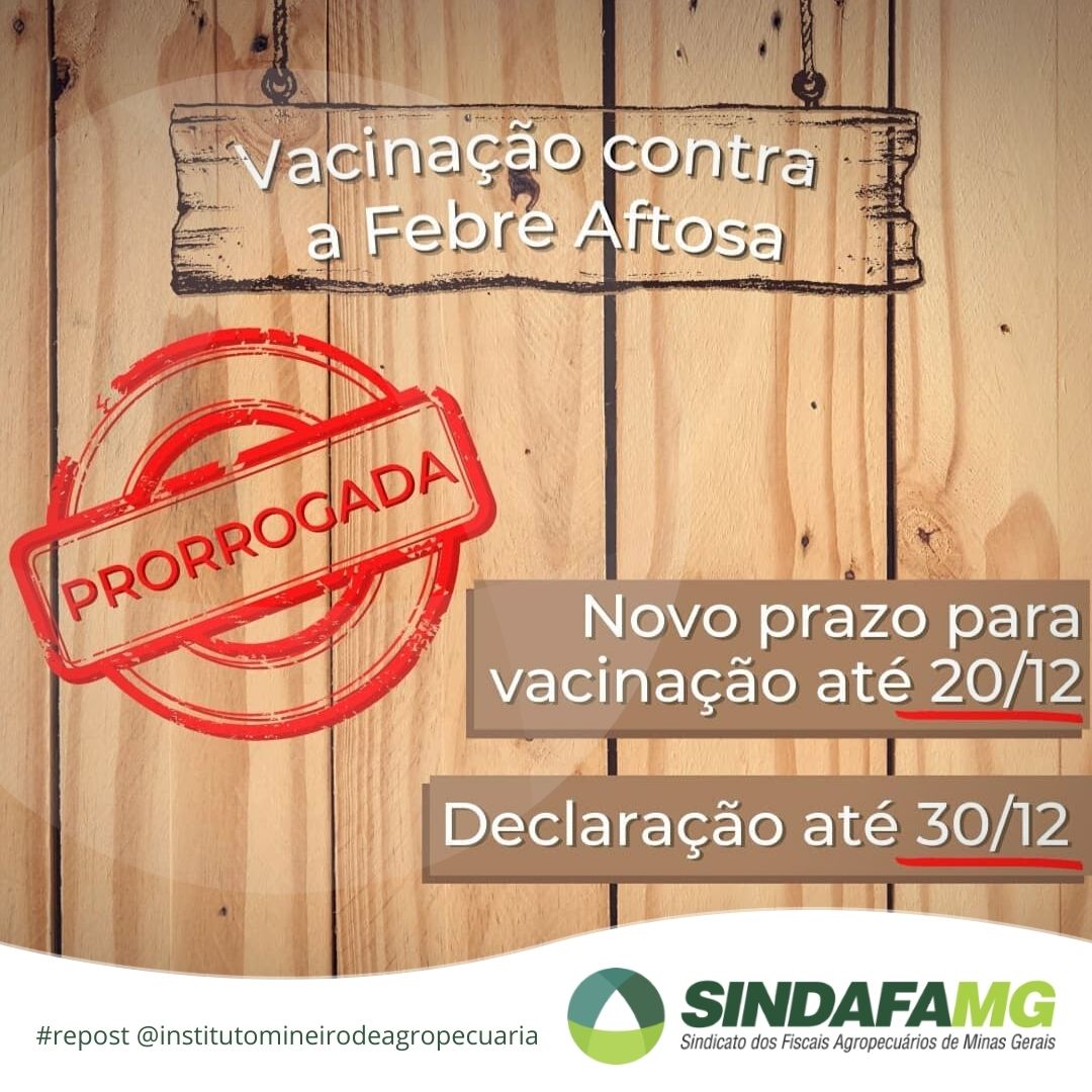 Vacinação contra a febre aftosa é prorrogada para até 20 de dezembro em Minas Gerais