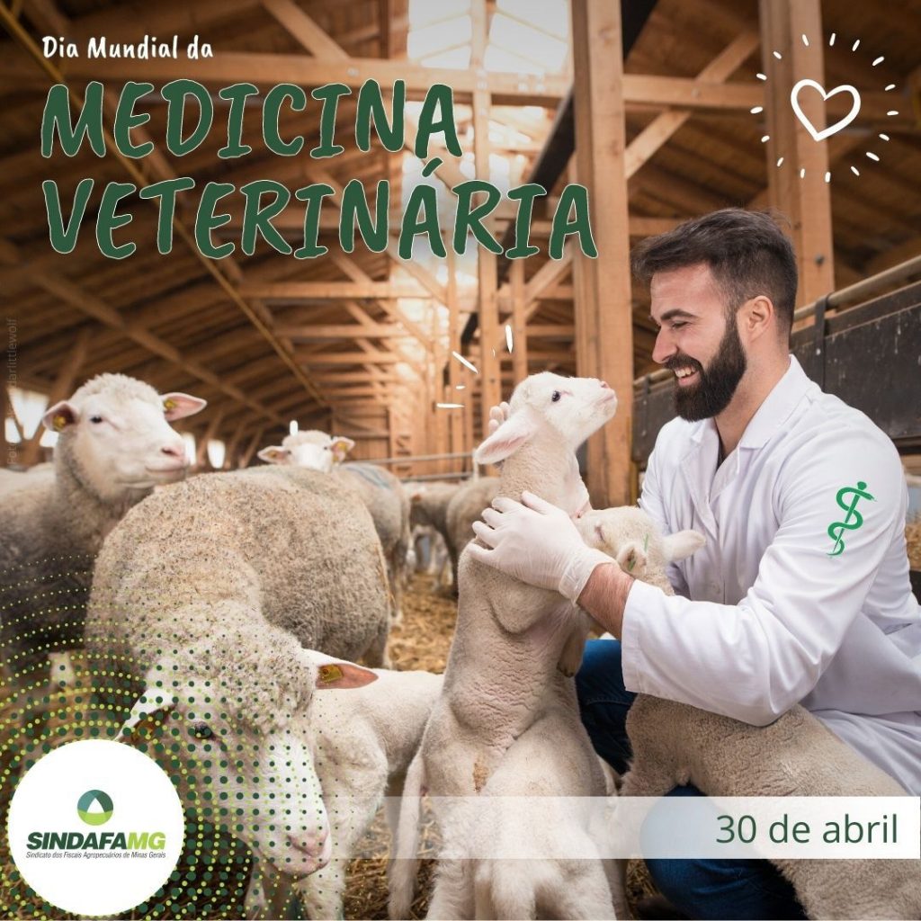 Dia Mundial da Medicina-Veterinária: profissão zela pelo bem-estar animal, saúde pública e meio ambiente