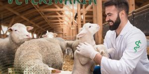Dia Mundial da Medicina-Veterinária: profissão zela pelo bem-estar animal, saúde pública e meio ambiente