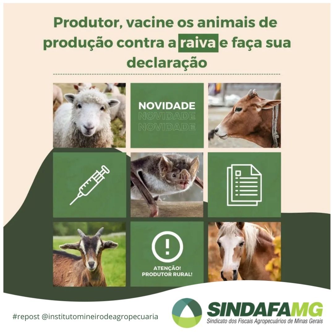 Produtor rural deve declarar vacinação animal contra a raiva