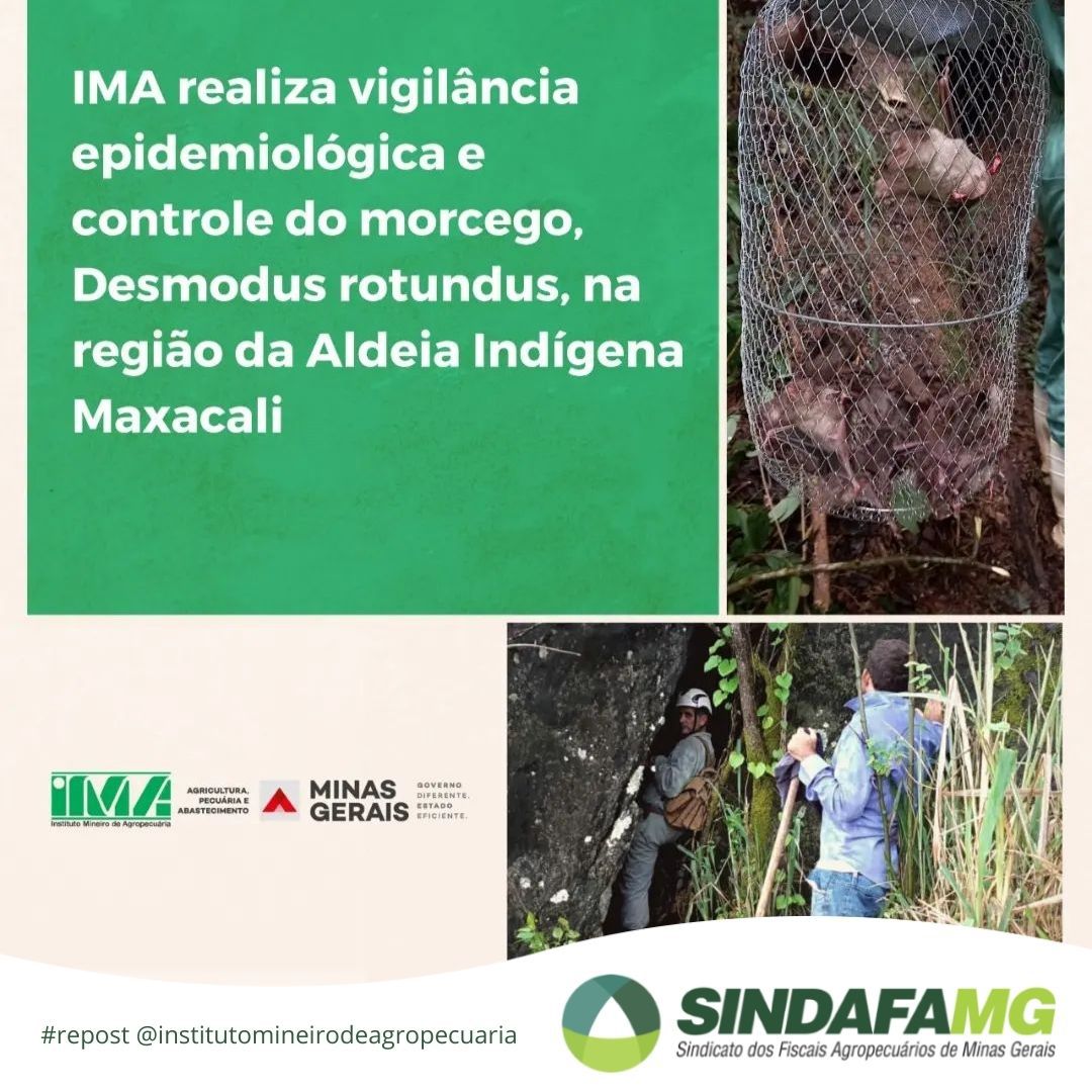 IMA intensifica ações de combate a raiva animal em Bertópolis