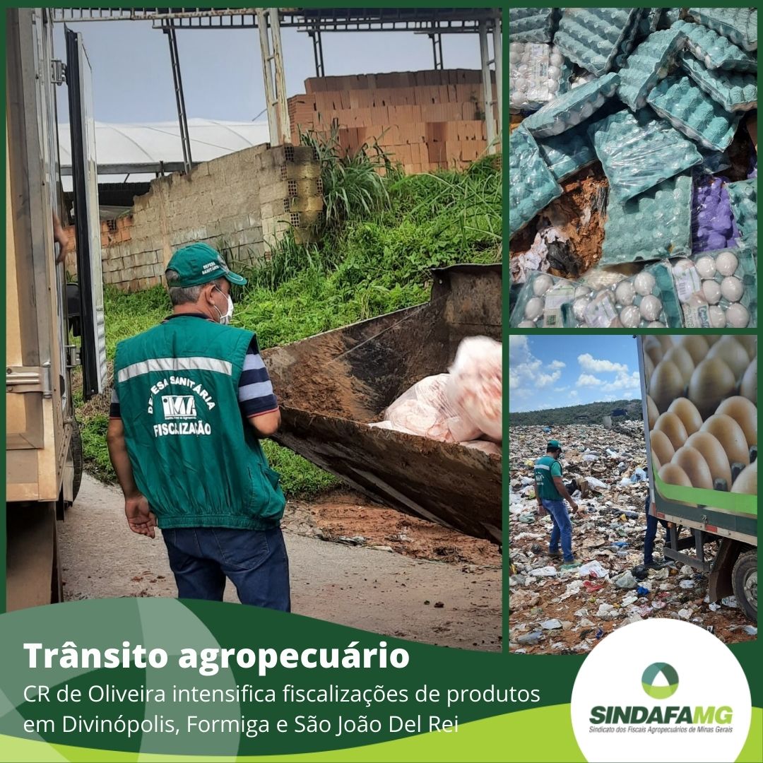 Coordenadoria Regional de Oliveira intensifica fiscalizações do trânsito agropecuário