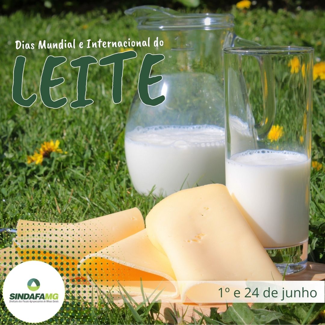 Junho celebra globalmente o mês do leite