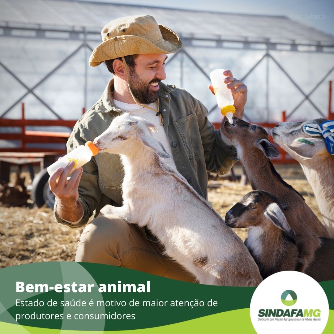 Setor do Meio Ambiente e Bem-estar Animal faz parceria com o