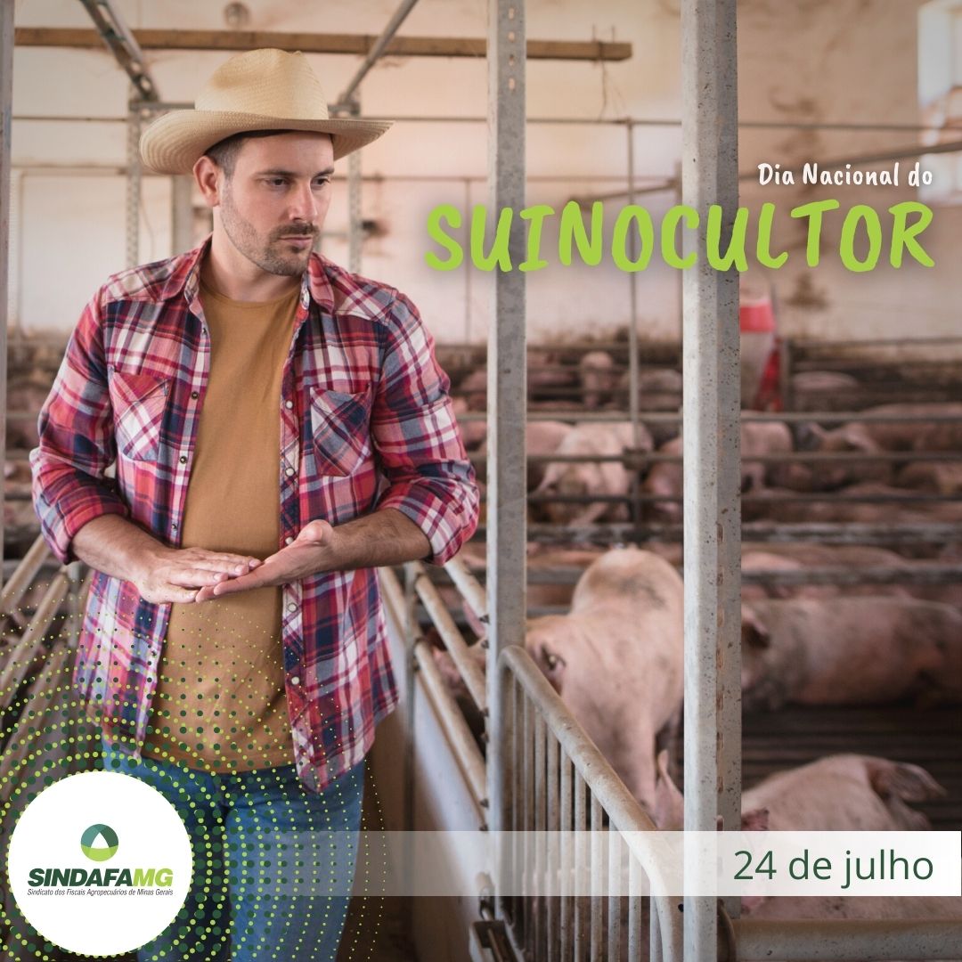 Dia Nacional do Suinocultor: profissional rural fomenta a produção agropecuária
