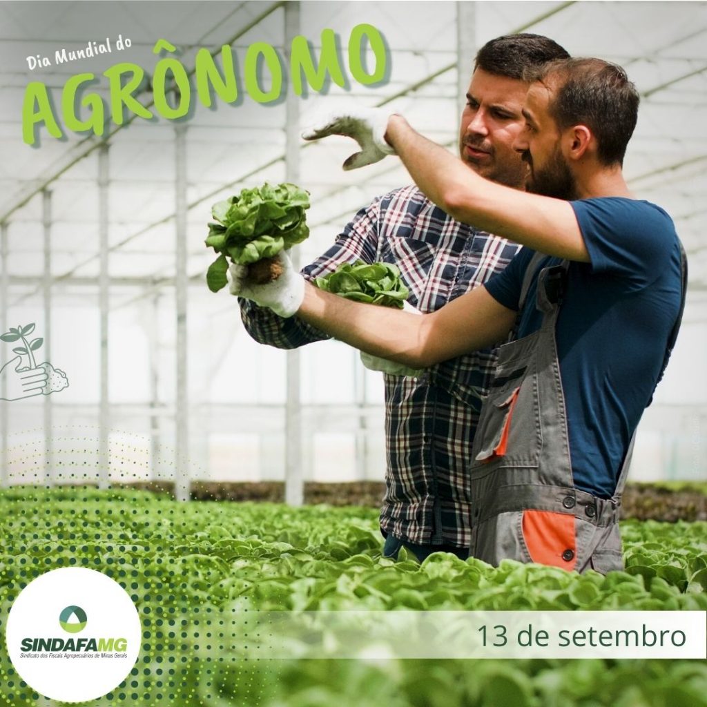 Dia Mundial do Agrônomo: profissional é responsável pela fiscalização de produtos agroalimentares
