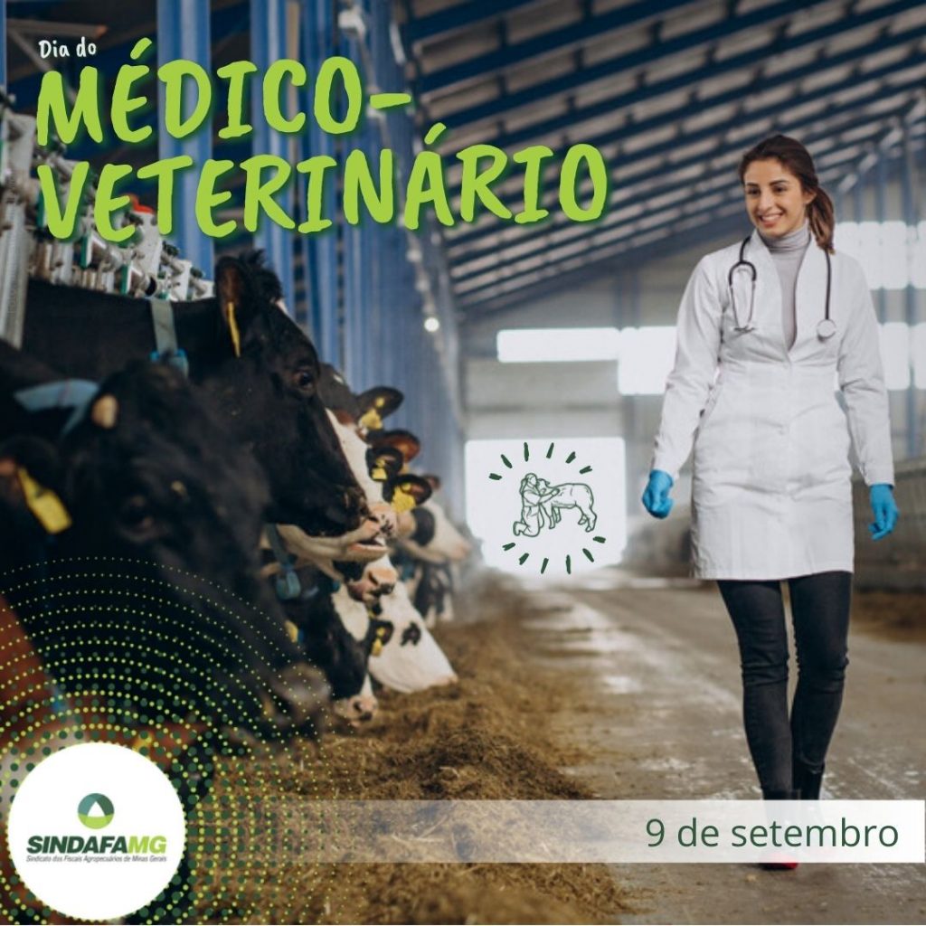 Dia do Médico-Veterinário: profissional assegura a qualidade dos alimentos de origem animal