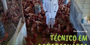 Dia do Técnico em Agropecuária: fiscalização da produção impacta positivamente a alimentação familiar