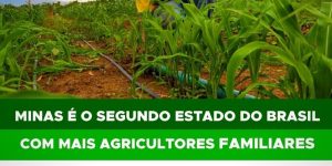 Com 1 milhão de trabalhadores, Minas Gerais é vice-líder em ocupação na agricultura familiar