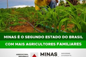 Com 1 milhão de trabalhadores, Minas Gerais é vice-líder em ocupação na agricultura familiar