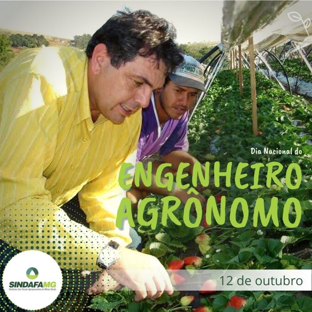 Dia Nacional do Engenheiro Agrônomo: especialista é protagonista na produção agropecuária sustentável
