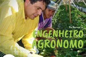 Dia Nacional do Engenheiro Agrônomo: especialista é protagonista na produção agropecuária sustentável