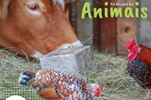 Dia Mundial dos Animais: IMA assegura qualidade dos rebanhos e saúde ao consumidor