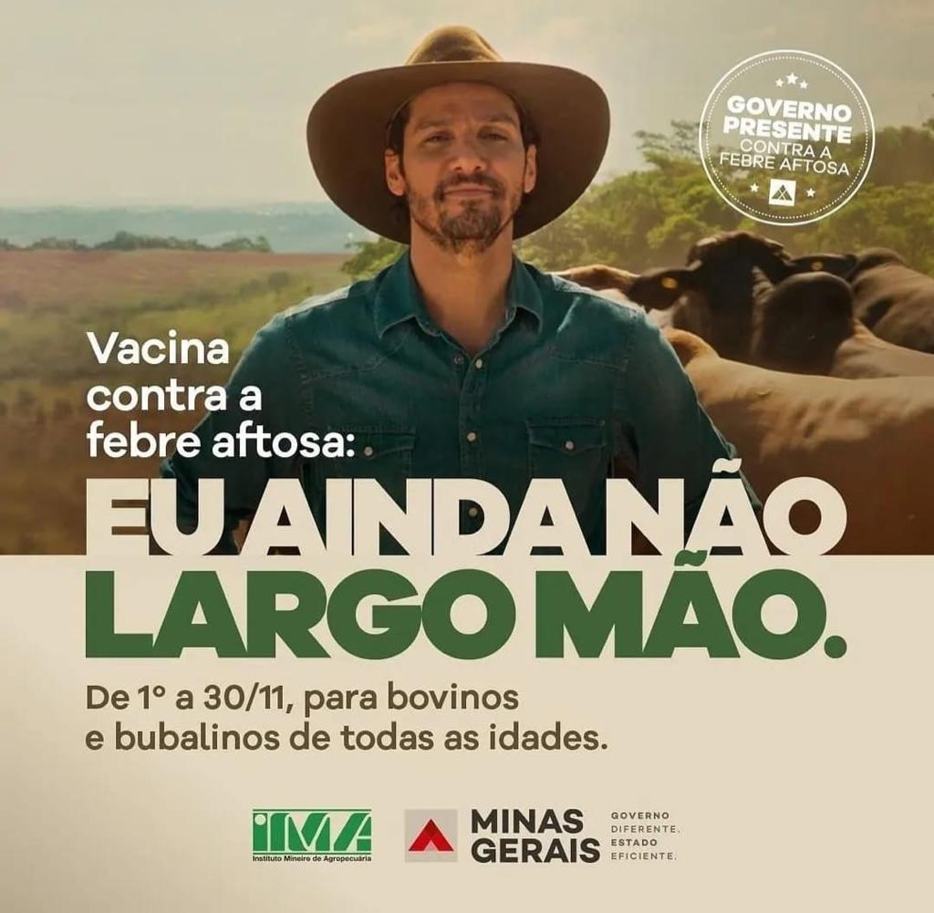IMA inicia campanha para vacinação de bovinos e bubalinos contra a febre aftosa