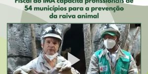 Fiscal do IMA capacita profissionais de 54 municípios para a prevenção da raiva animal