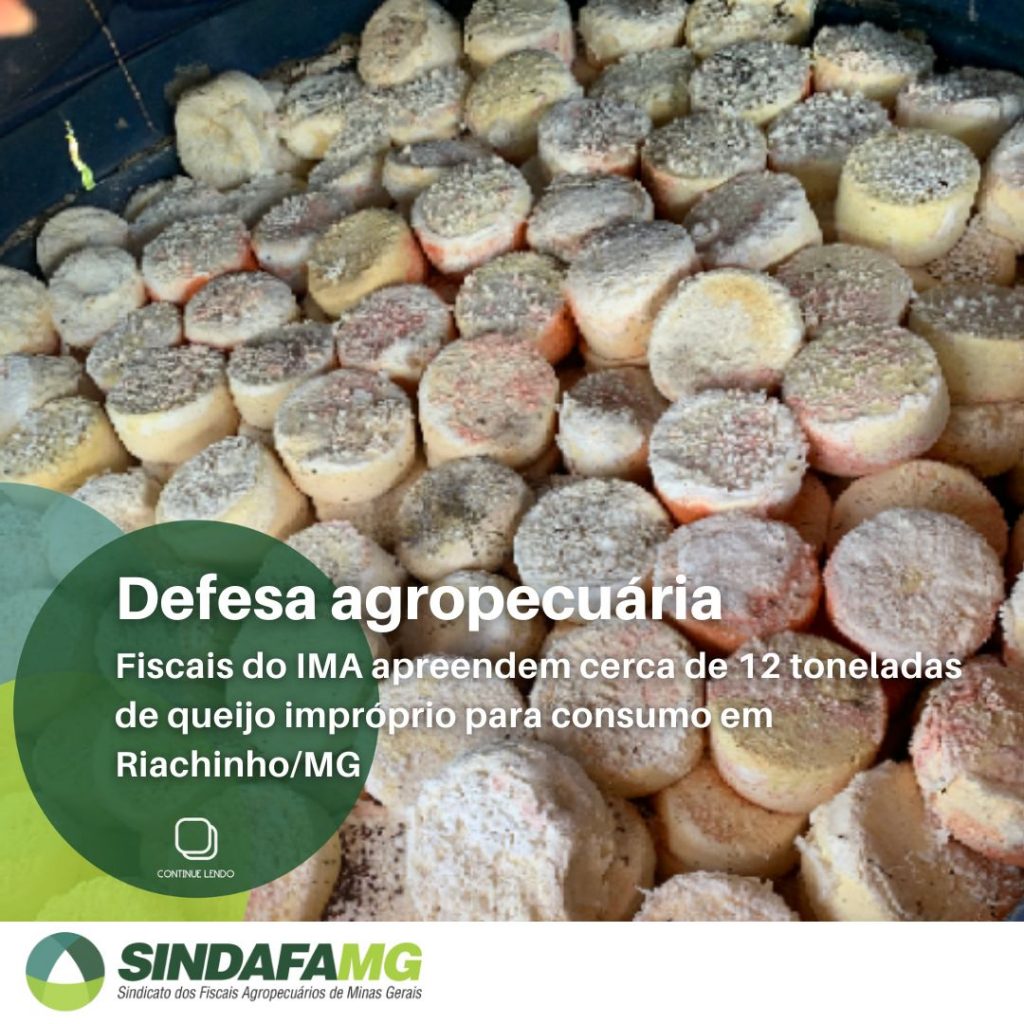 Fiscais do IMA apreendem cerca de 12 toneladas de queijo impróprio para consumo em Riachinho-MG