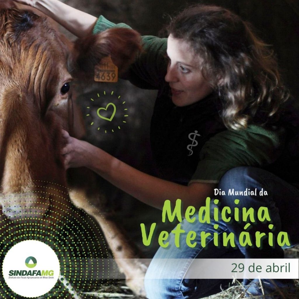 Dia Mundial da Medicina-Veterinária: conheça a importância desses profissionais na fiscalização agropecuária