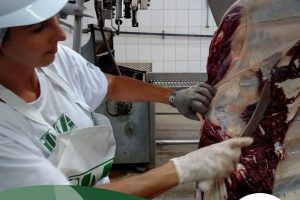 Artigo desenvolvido por fiscais do IMA destaca importância do controle permanente de zoonoses em frigoríficos