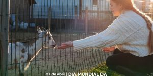 Dia Mundial da Medicina-Veterinária: profissão zela pela saúde e bem-estar dos animais