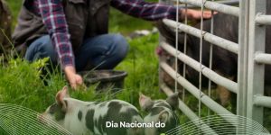 Dia Nacional do Pecuarista: profissional é protagonista em alimentar a sociedade brasileira