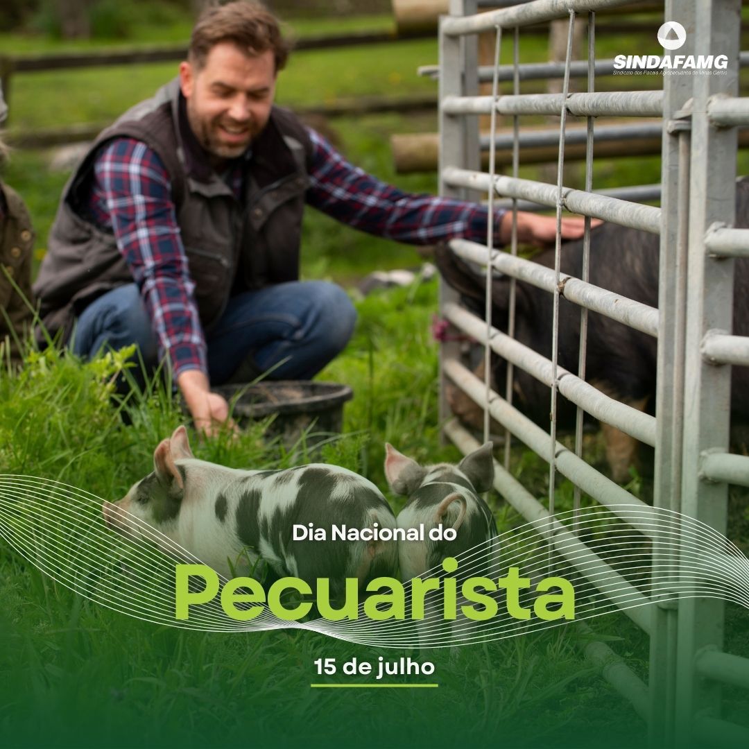 Dia Nacional do Pecuarista: profissional é protagonista em alimentar a ...