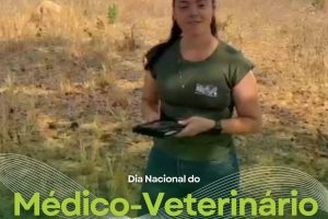 Dia Nacional do Médico-Veterinário 2024