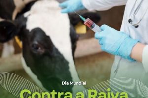 Dia Mundial Contra a Raiva: data reforça a conscientização sobre a prevenção desta doença zoonótica