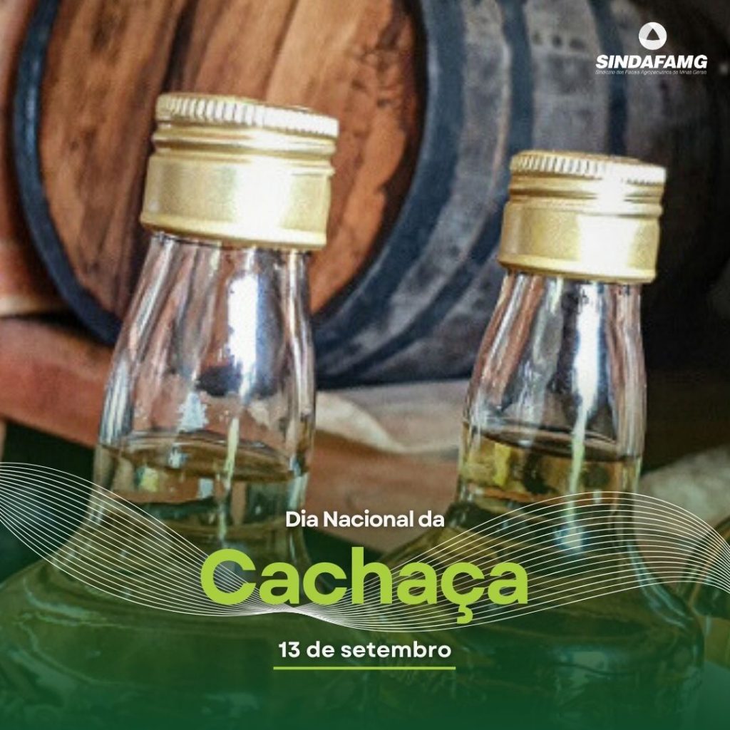 Dia Nacional da Cachaça: Minas Gerais supera a marca de 500 alambiques registrados