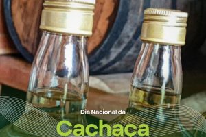 Dia Nacional da Cachaça: Minas Gerais supera a marca de 500 alambiques registrados