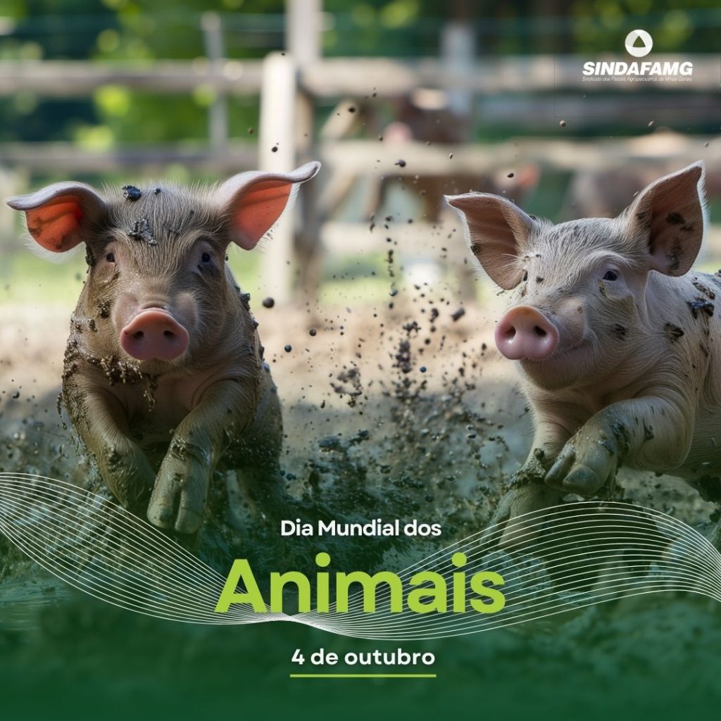 Dia Mundial dos Animais: práticas sustentáveis de produção contribuem para a saúde dos rebanhos e segurança dos alimentos