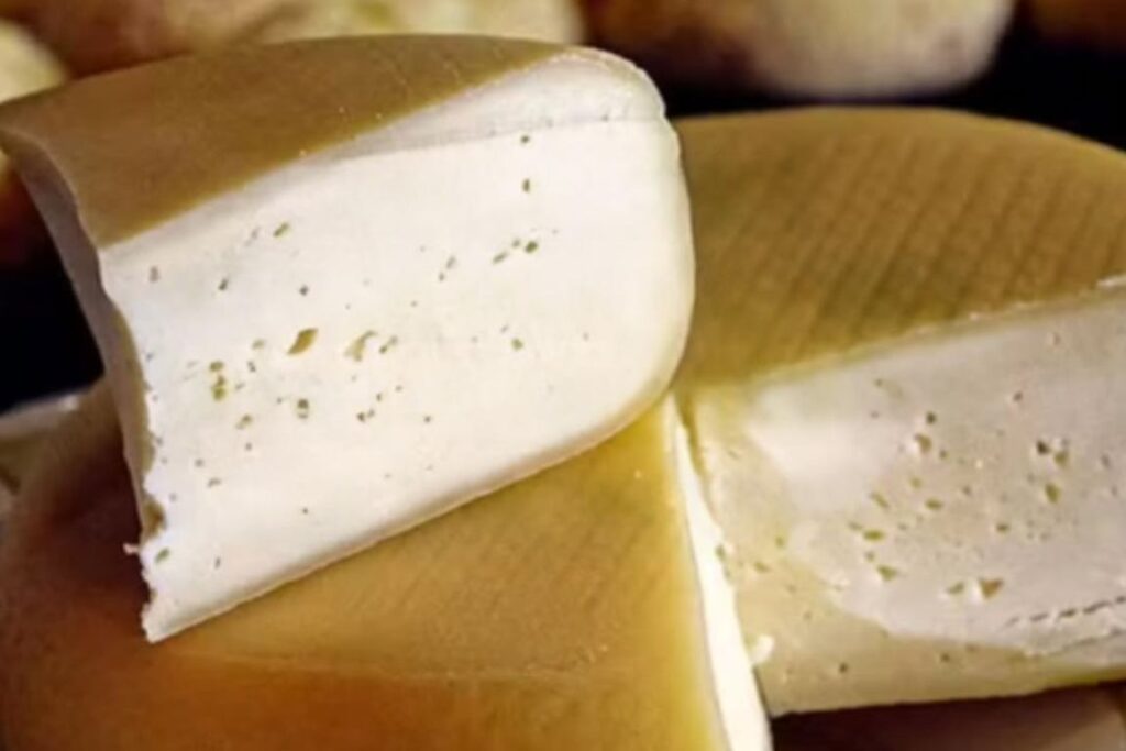 Concurso “De Olho no Queijo”: último dia de inscrição é nesta quinta-feira Concurso “De Olho no Queijo”: último dia de inscrição é nesta quinta-feira