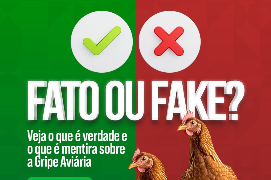 Fato ou Fake sobre a gripe aviária? Descubra agora!