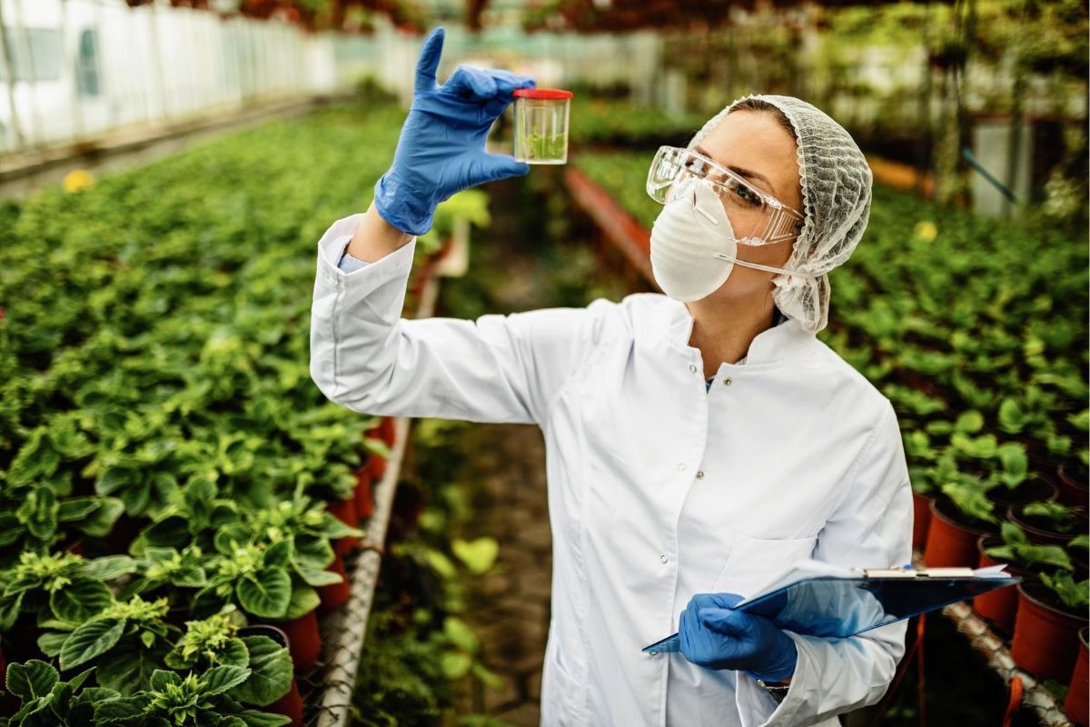 Dia Nacional do Biólogo: Sindafa-MG celebra o papel de fiscais agropecuários na proteção da vida