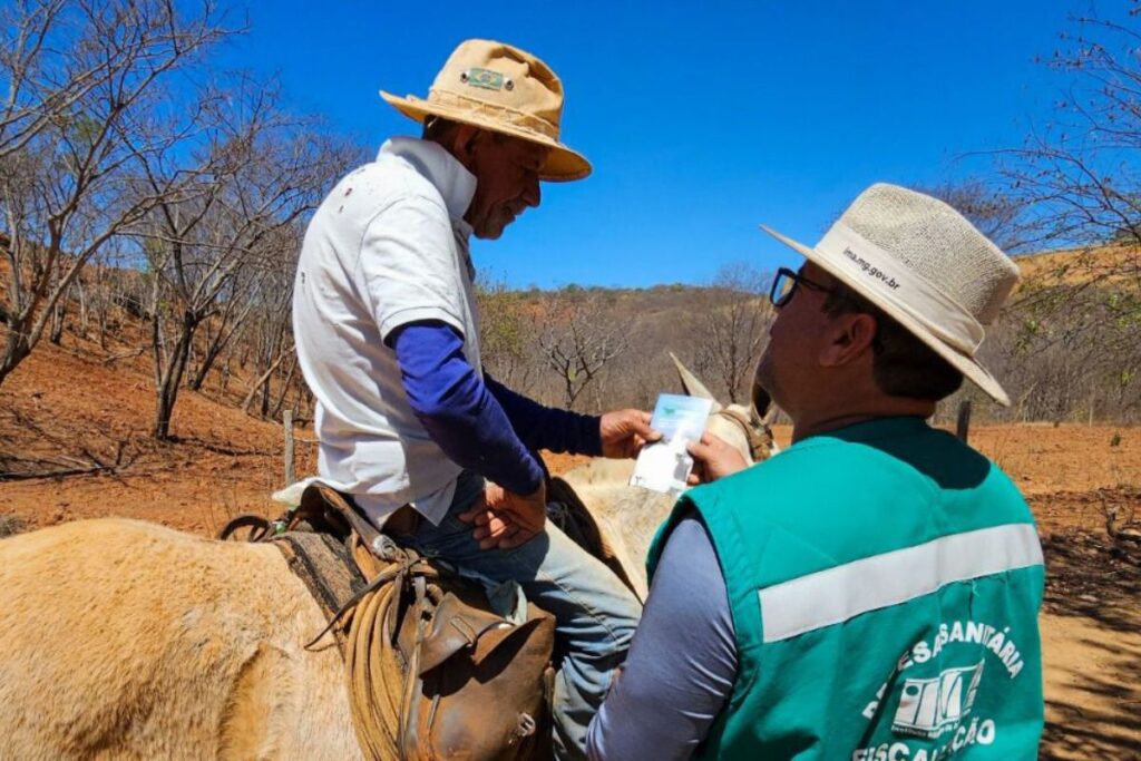 Sindafa-MG reforça papel dos fiscais do IMA na saúde pública e meio ambiente